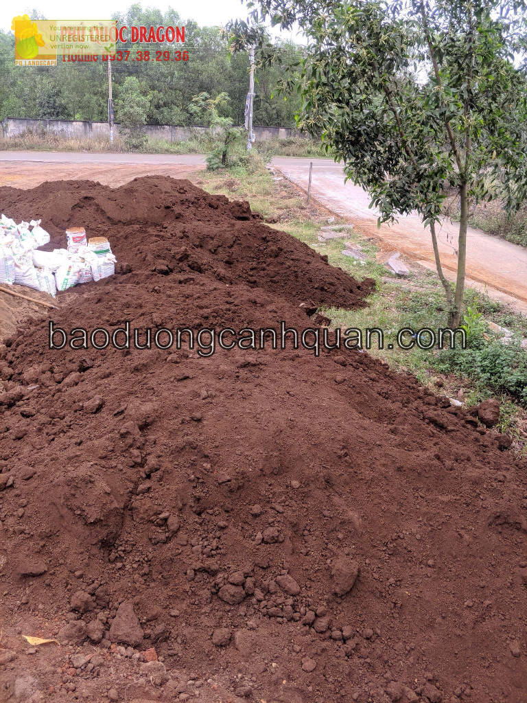 Cung cấp đất màu, đất đỏ bazan trồng cây ở Đồng Nai, Long An, HCM | WebRaoVat - webraovat.net.vn