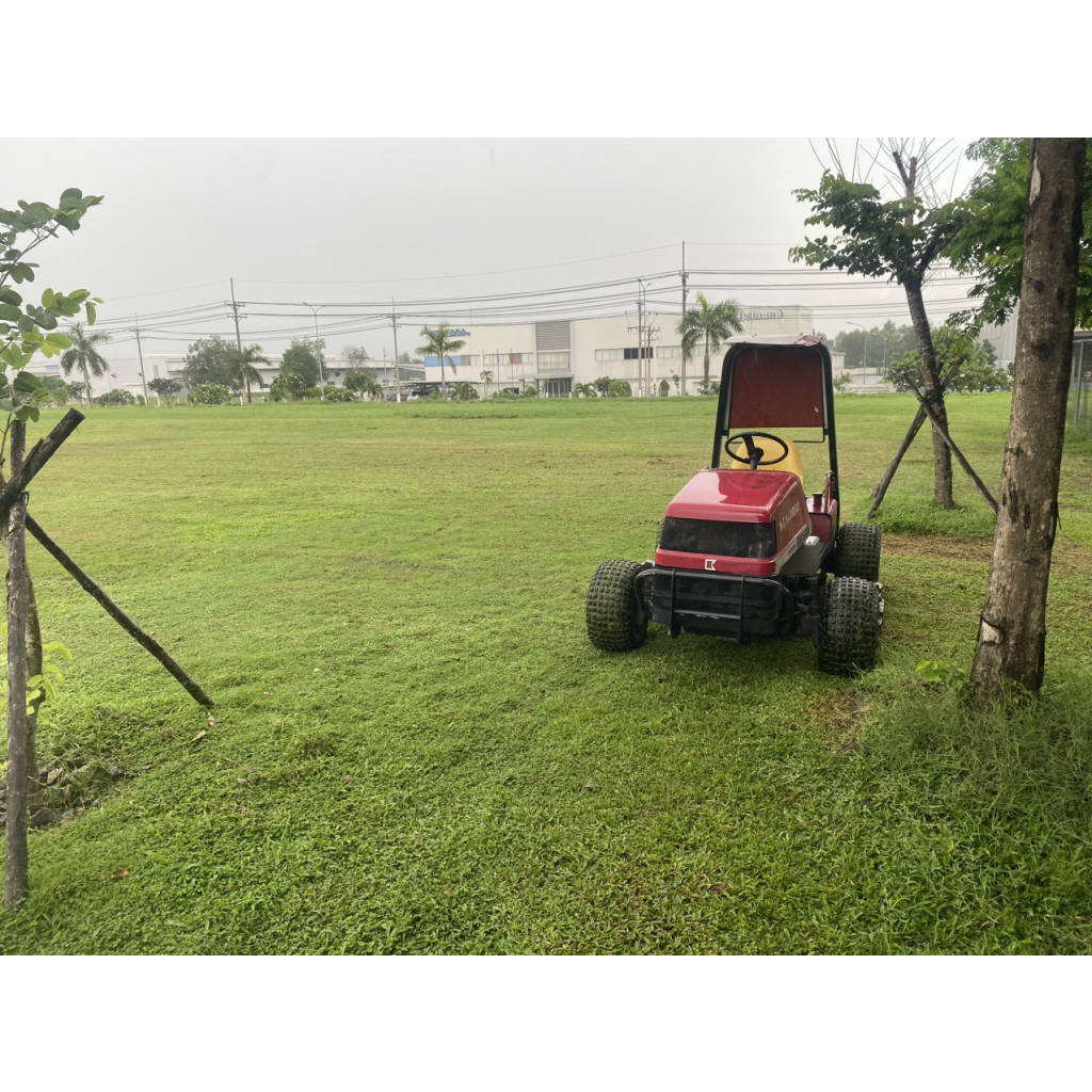 Dịch vụ cắt c.ỏ phát hoang ở Đồng Nai, HCM giá rẻ | WebRaoVat - webraovat.net.vn