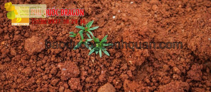 Đất Màu, đất đỏ bazan ở Đồng Nai, HCM