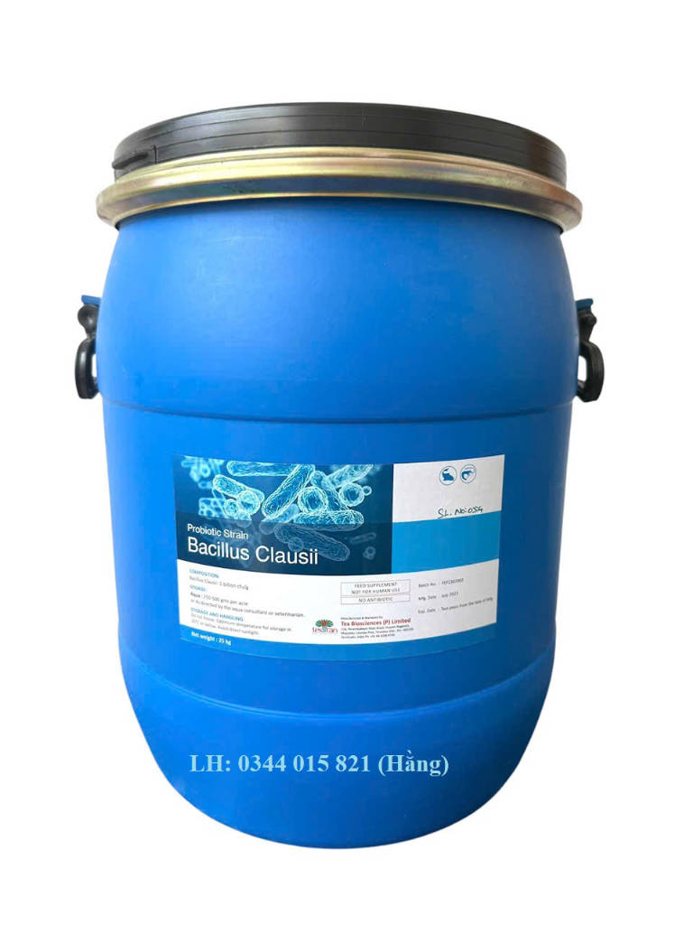 Men vi sinh Baicllus Clausii, cân bằng đường ruột cho tôm cá | WebRaoVat - webraovat.net.vn